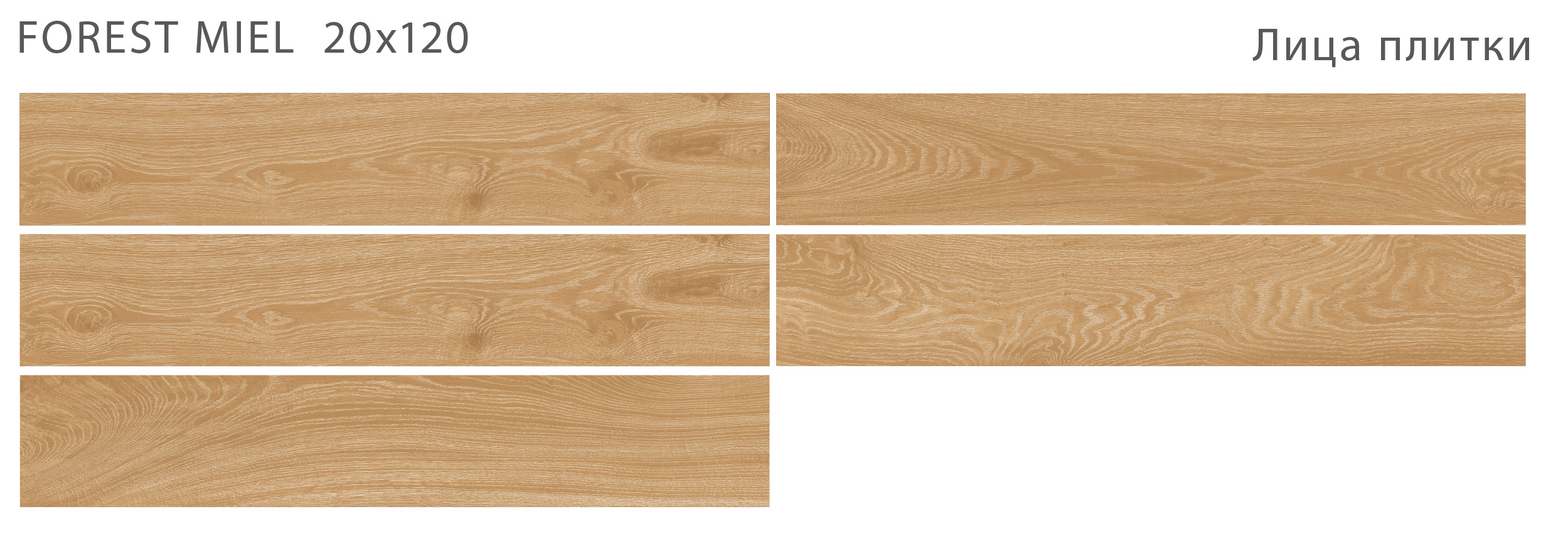 Лесное очарование: керамогранит STAROWOOD Forest STP-ST218 INCOLOR - Вид №1