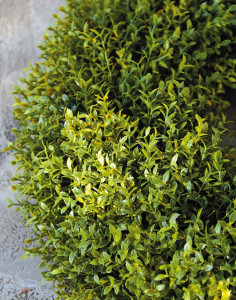 1034 883 a3 Венок из искусственной травы, синтетический материал, Ø 37 см, зеленый H-andreas