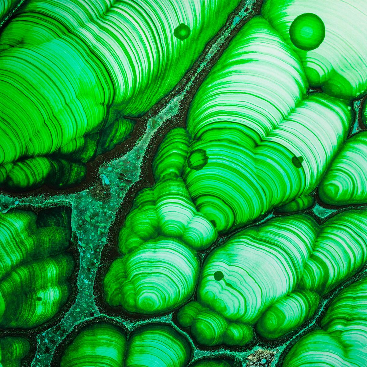 SICIS Marmorato Pistachio Sol Spathula sun-id-1991114 - Вид №1