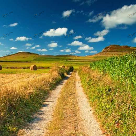 WP02490 Фотообои Verol Фотообои decoline 1х1 м