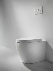 C01011W-ENG Приставной унитаз напольный Белый Bravat Gina Турция