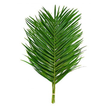 Листья робелини 80 см Santreyd 26385