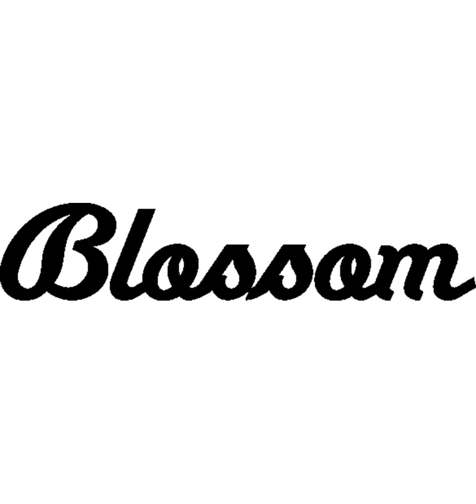 FROST Крючок BLOSSOM sun-id-1965542 - Вид №2