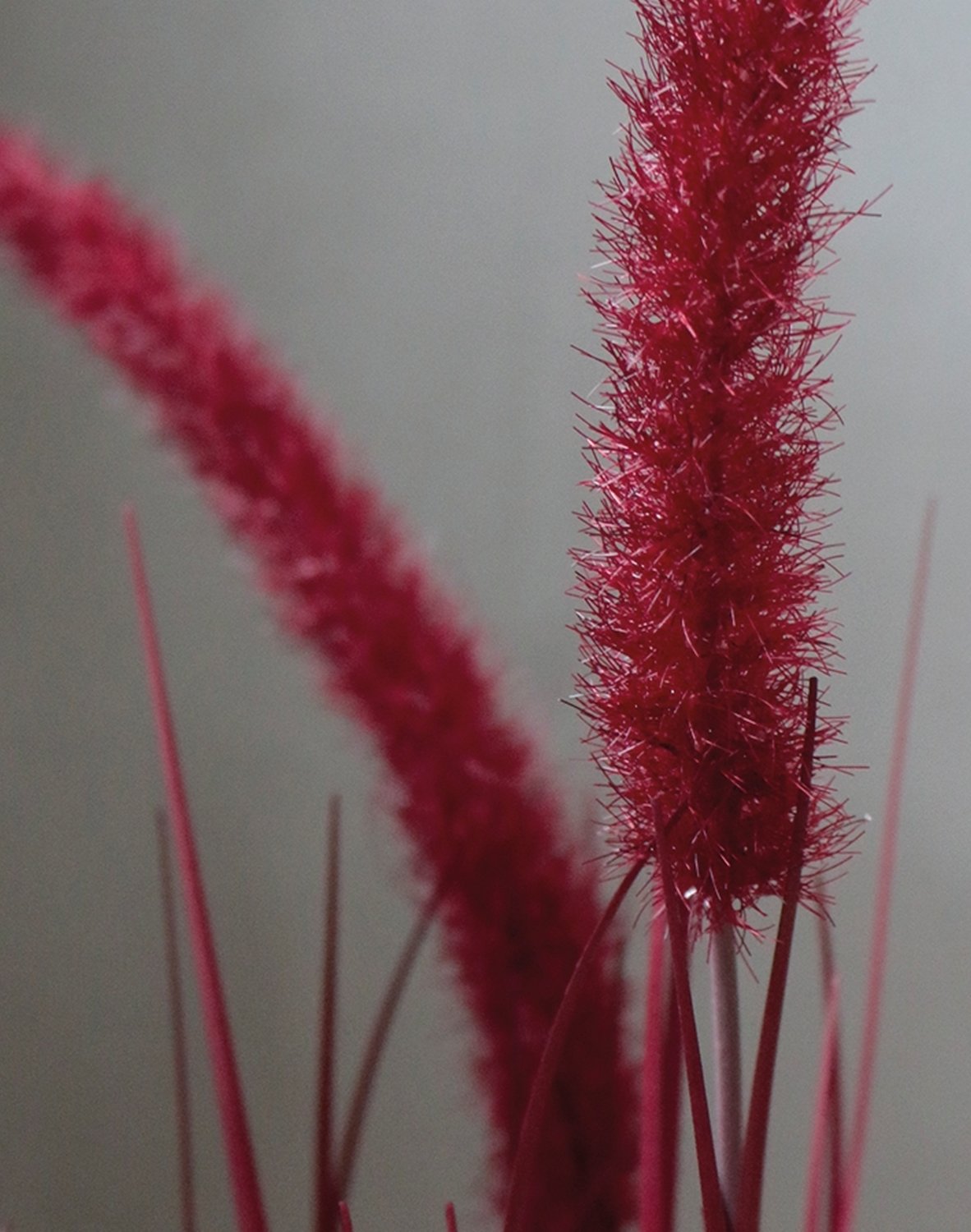 4867 498 a3 Искусственный пучок травы 'Chinese fountain grass' в горшке, 68 см, бордово-зеленый H-andreas  - Вид №1