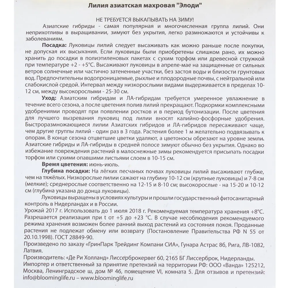 BLOOMING LIFE Лилия Элоди - нежно-розовая махровая красавица 81945452 STLM-1567712 - Вид №2