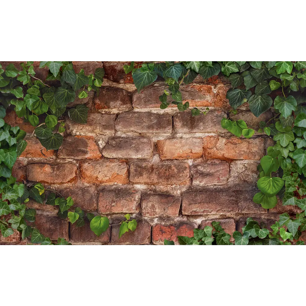 Листовая панель ПВХ Плющ 1002x602x0.5 мм 0.6 м² GRACE STLM-2076638 - Вид №1