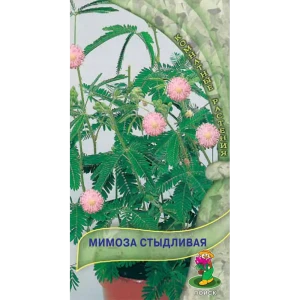 Семена Мимоза «Стыдливая» 82984199 STLM-2033069