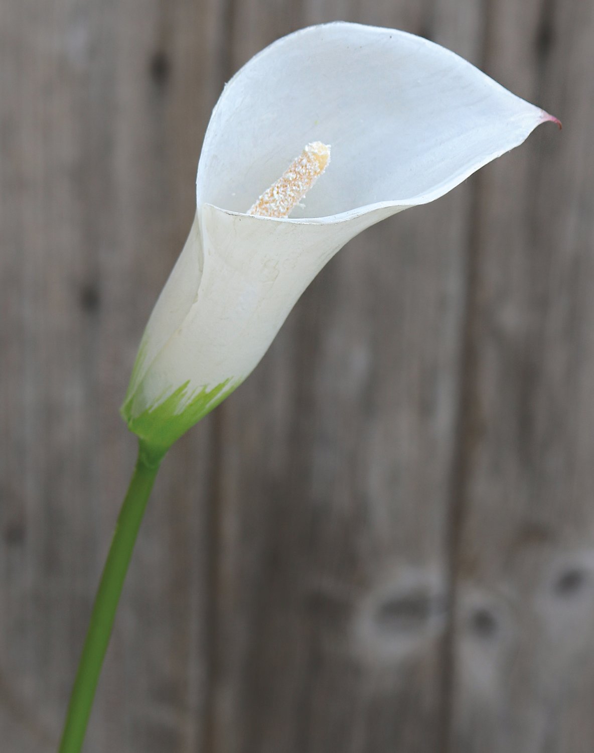 3975 777 a1 Искусственный цветок калла лилия, синтетический материал, 65 см, белый H-andreas 