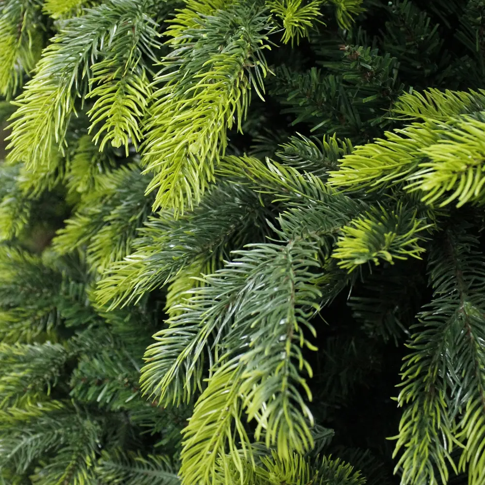 82371932 Ель новогодняя искусственная Орион 180 см STLM-1397187 BEATREES  - Вид №2