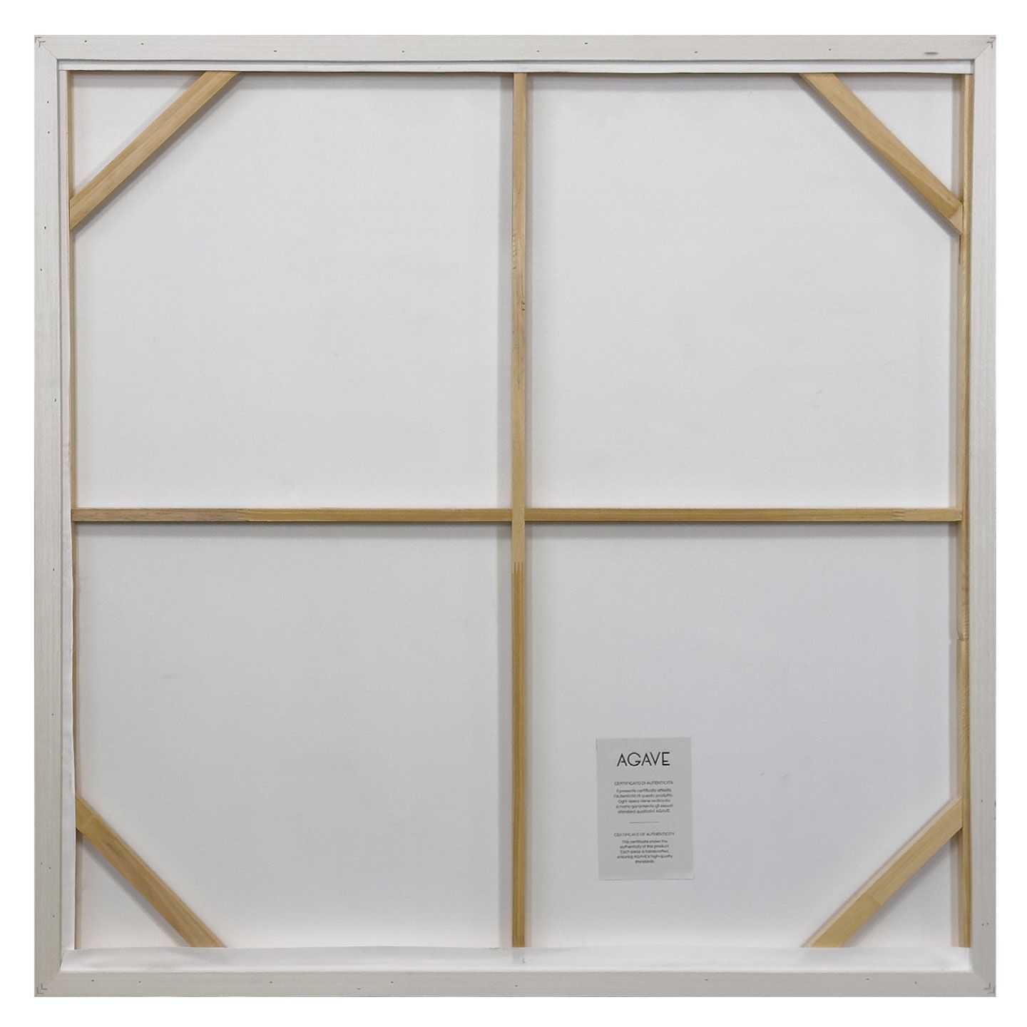 Холст рамки Agave FOCUS ARCH-00099675 - Вид №3