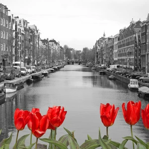 D2-090 Фотообои DIVINO Collection D 2.7х м