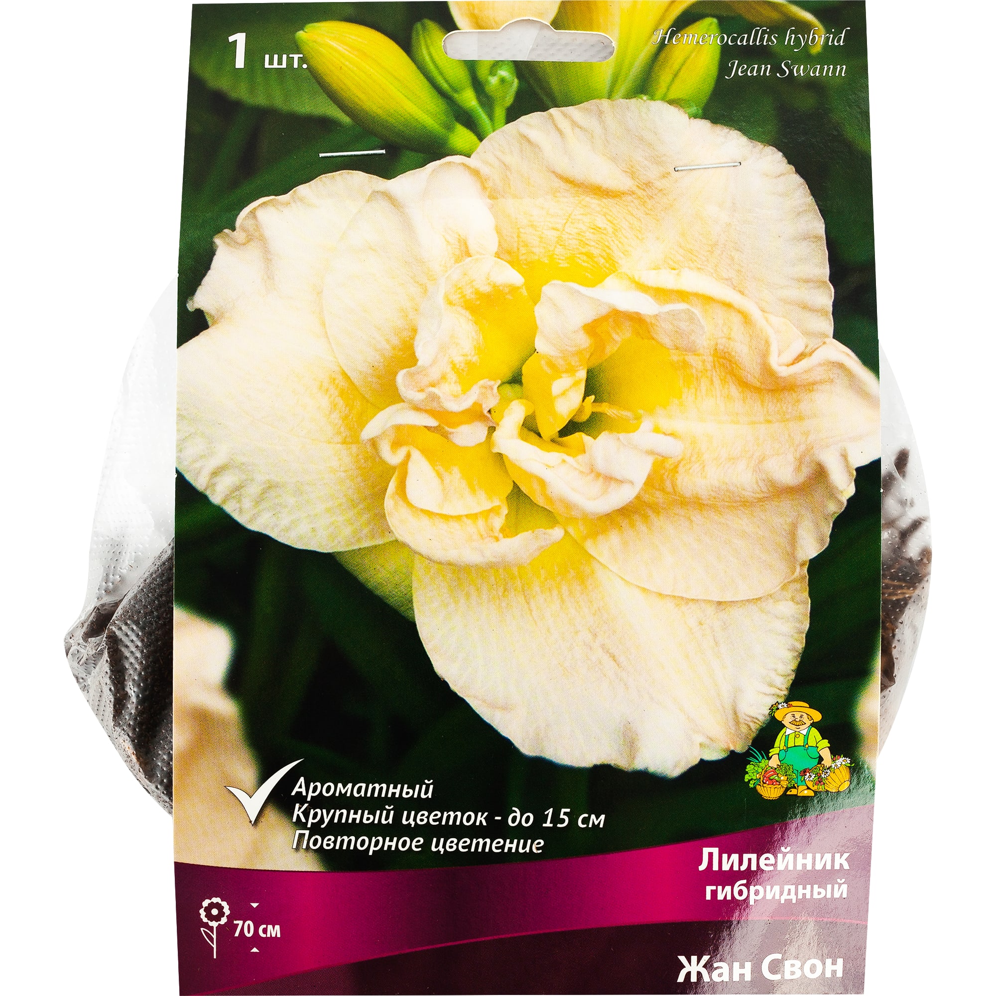 82118727 Лилейник гибридный «Жан Свон», 1 шт Santreyd 