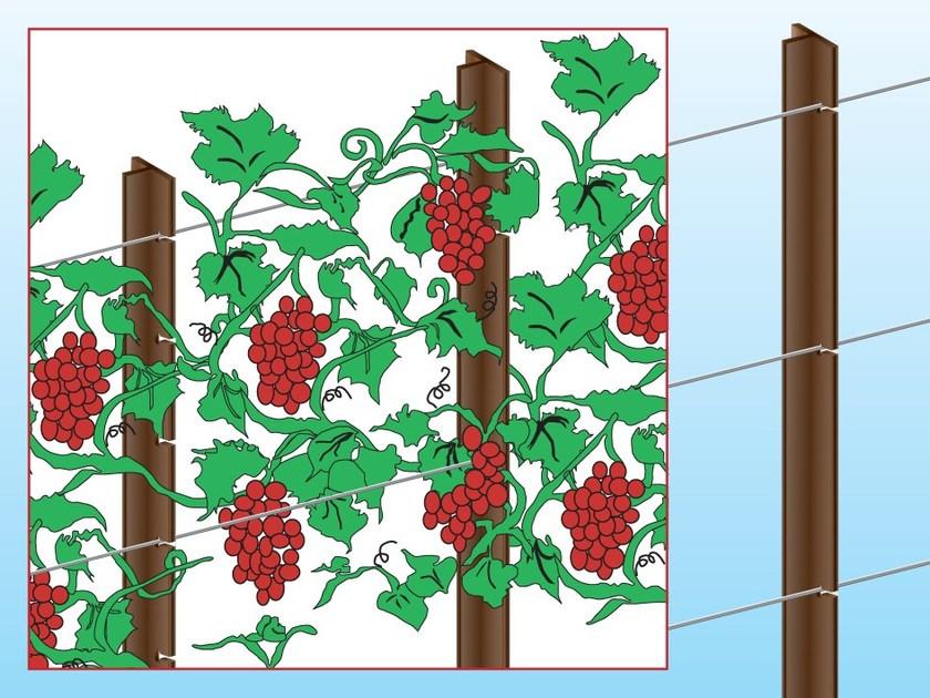 Ferro Bulloni Столб из кортеновской стали для виноградников Pali per recinzioni con reti metalliche sun-id-1478392 - Вид №2