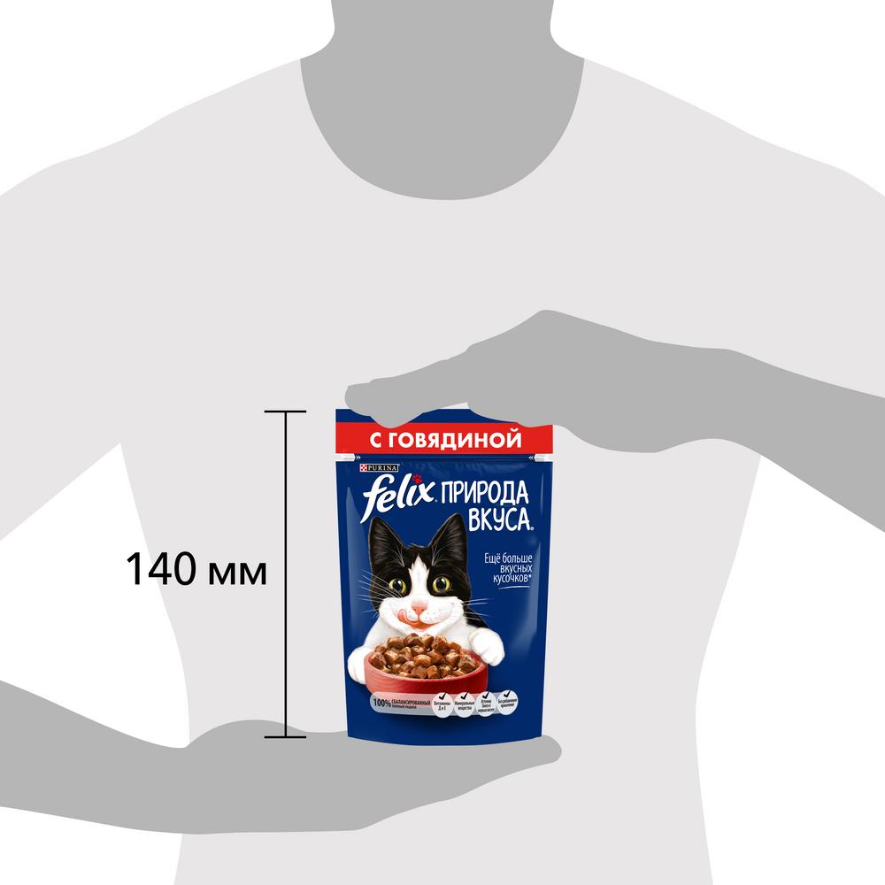 ПР0049077 Корм для кошек Природа вкуса с говядиной в соусе, пауч 85 г FELIX  - Вид №9