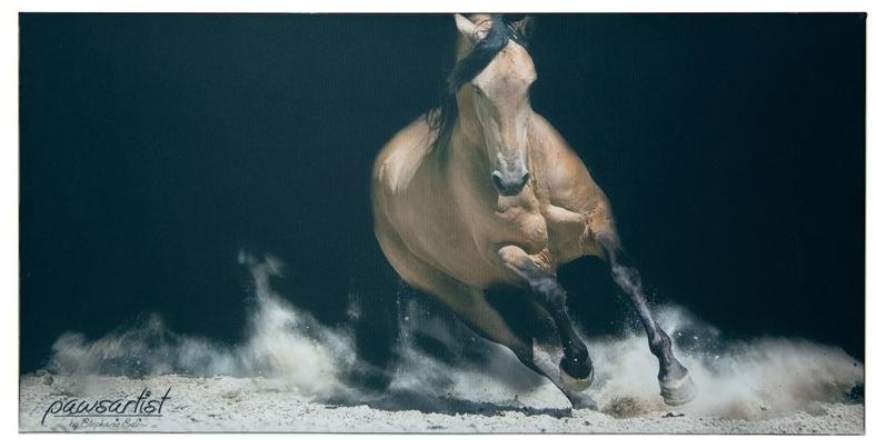 SPÄH designed acoustic Акустическая стеновая панель Basotect® sun-id-1503415 - Вид №1