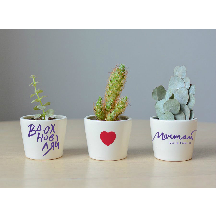 Набор для выращивания Eco мини-кашпо «Сердце» ЭКОЧЕЛОВЕКИ MIN201 - Вид №1