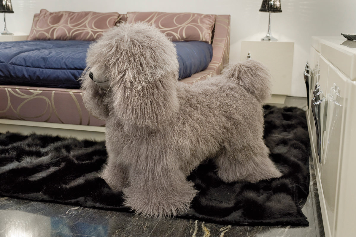 Klipper Пуф для собак Visionnaire  - Вид №1