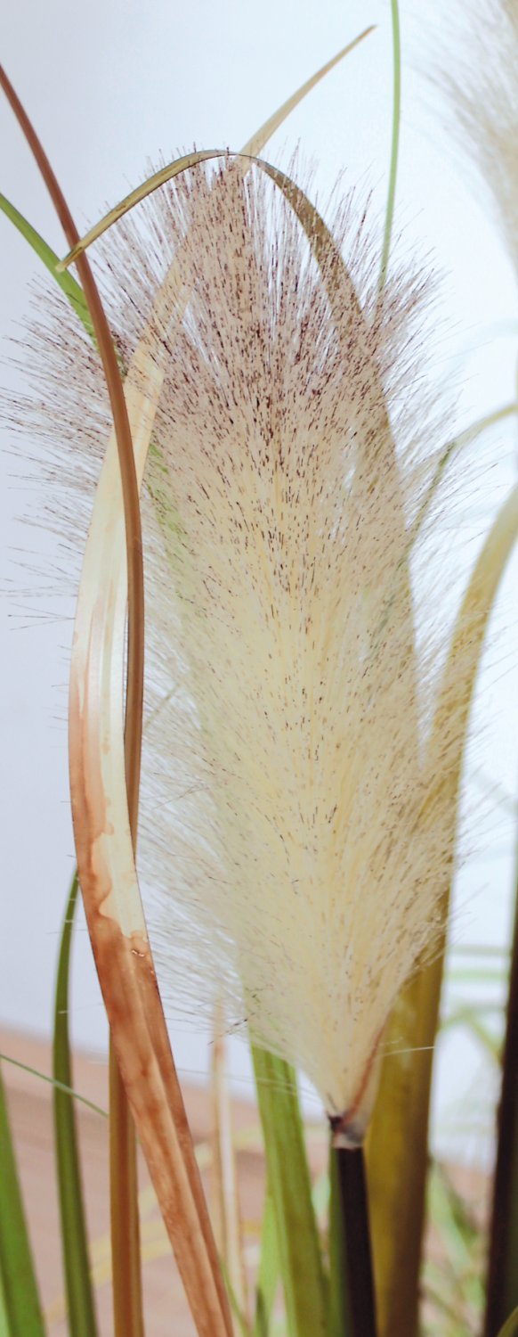 4569 860 a3 Трава искусственная пампас, горшечная, 180 см, зелено-коричневая H-andreas  - Вид №1