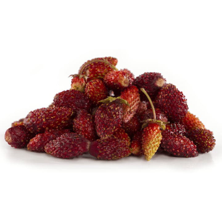 Земляника Santreyd 4437