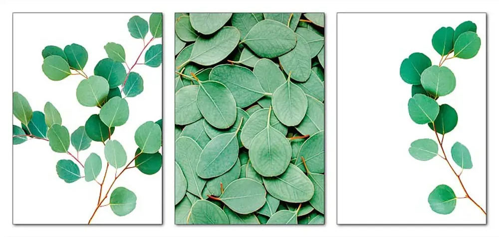 Santreyd: Набор постеров «Листья» для современного интерьера 39×49 см 88909952