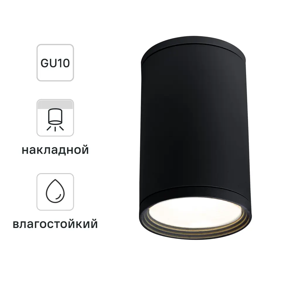 Светильник накладной Light 2101 IP65 1ХGU10Х10W, цвет черный Elektrostandard STLM-2148980