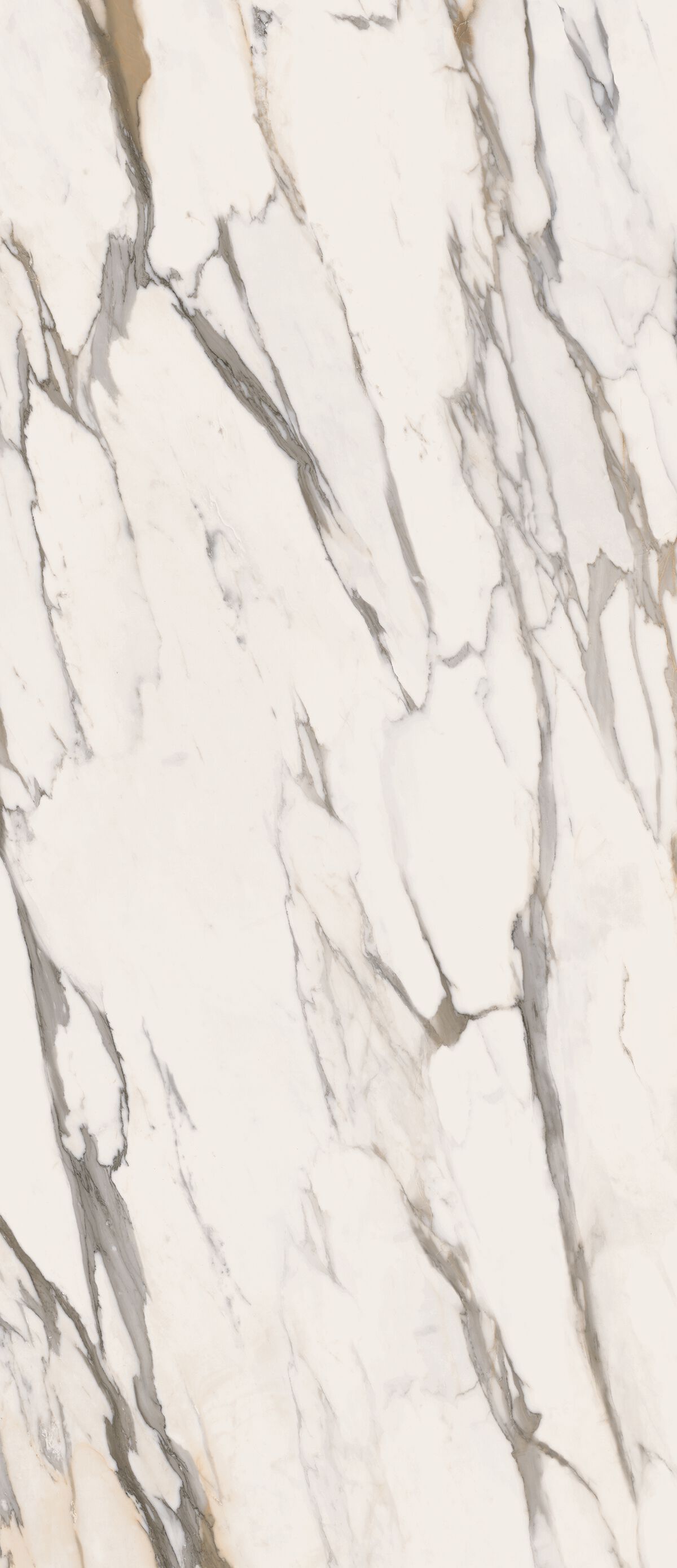 Пол / керамогранит с мраморным эффектом CERAMICA FONDOVALLE Infinito 2.0 ARCH-00010668 - Вид №6