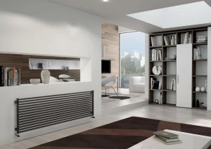 Радиатор отопления 900 Sax orizzontale IRSAP 55.0