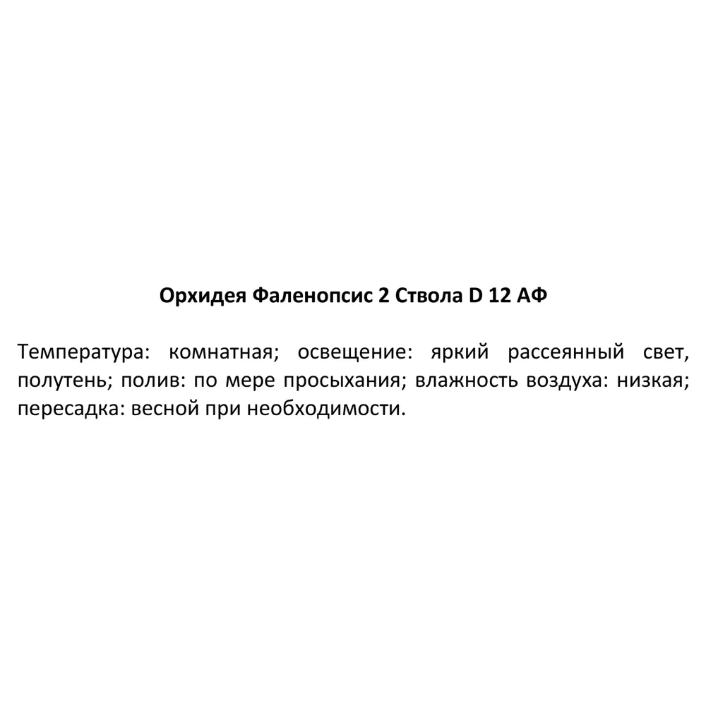 Santreyd Орхидея Фаленопсис — изящная бабочка в вашем интерьере 85324972 STLM-0061533 - Вид №7