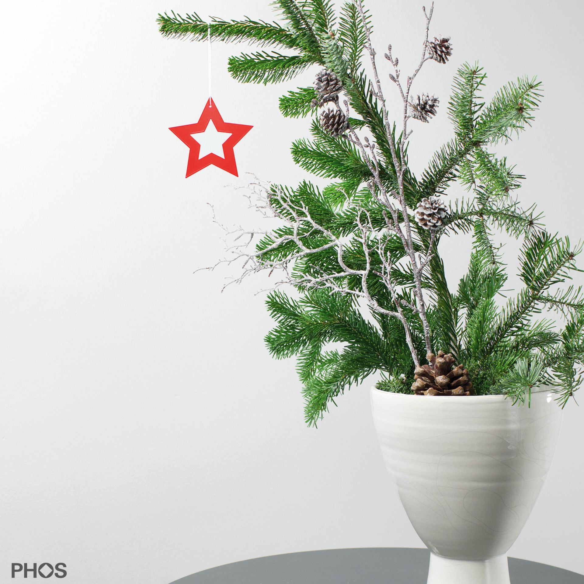 STERN3KR Poinsettia polaris-2, красная порошковая окраска PHOS  - Вид №1