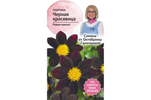19488420 Семена Георгина Черная красавица 5 шт. 119666 ОКТЯБРИНА ГАНИЧКИНА