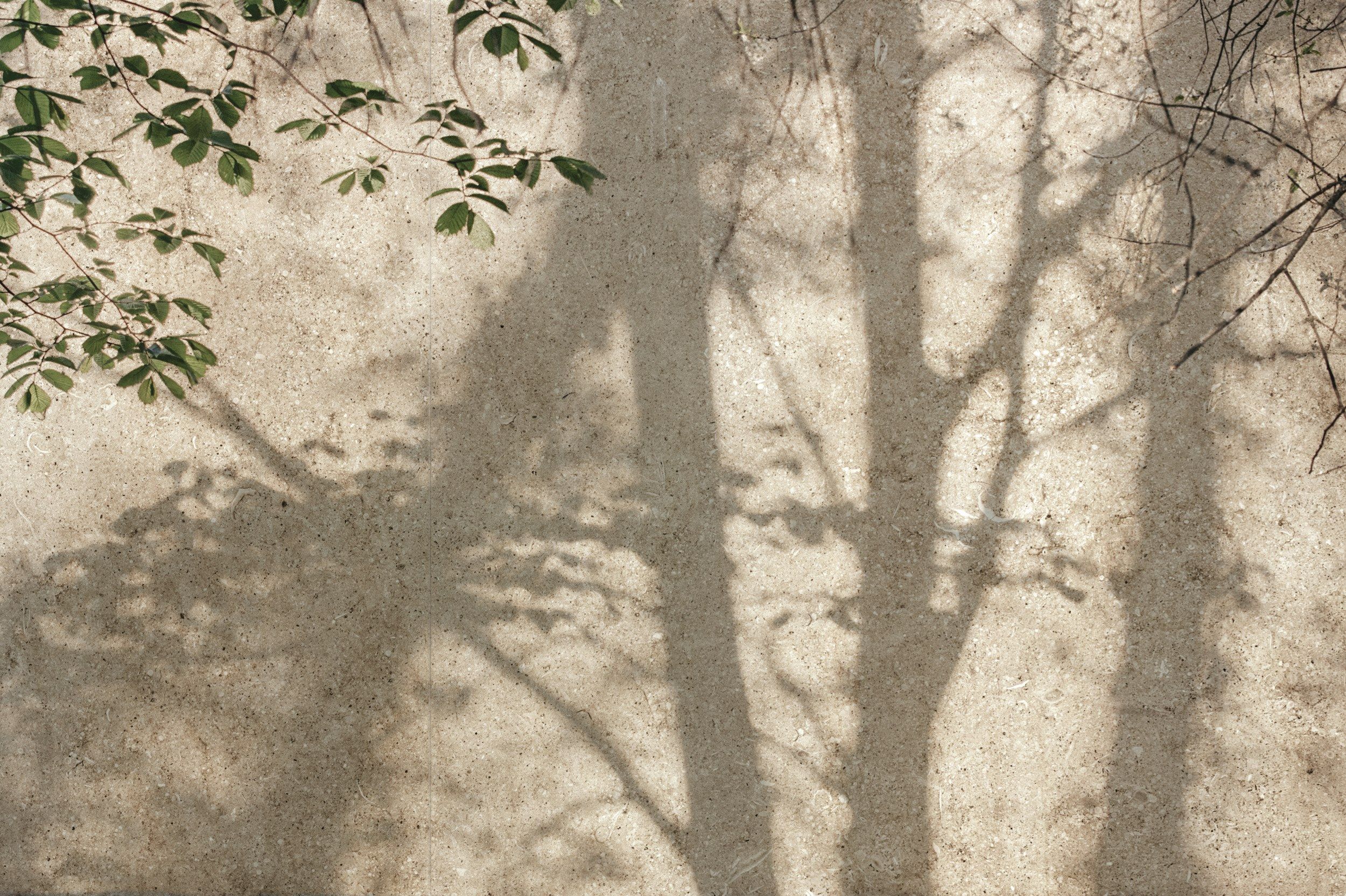 Пол / облицовка керамогранита для внутреннего и наружного применения с эффектом цемента Florim Ceramiche SENSI ARCH-00151192 - Вид №4