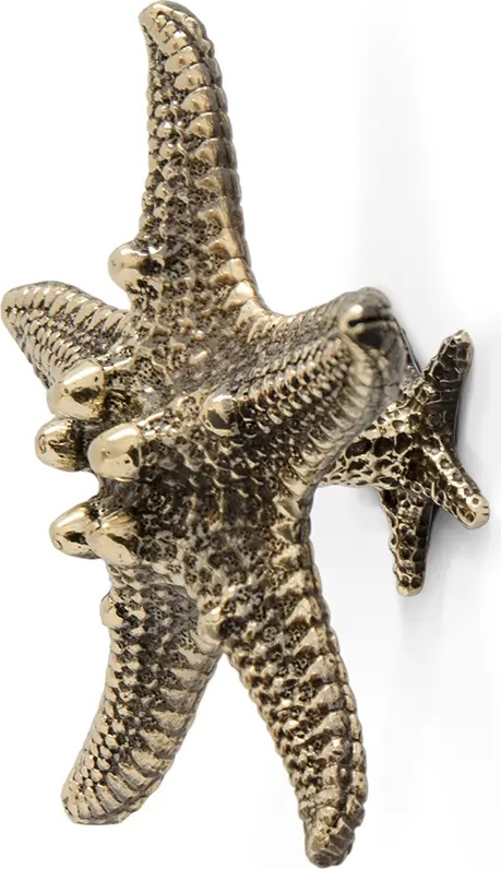 OC2011 Linckia PULLCAST Ocean Collection 