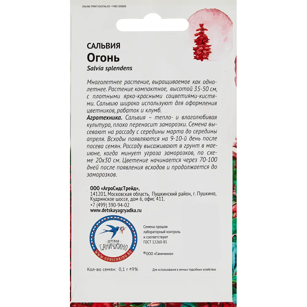 Семена цветов Семена от Октябрины Ганичкиной сальвия Огонь STLM-2075480 - Вид №1