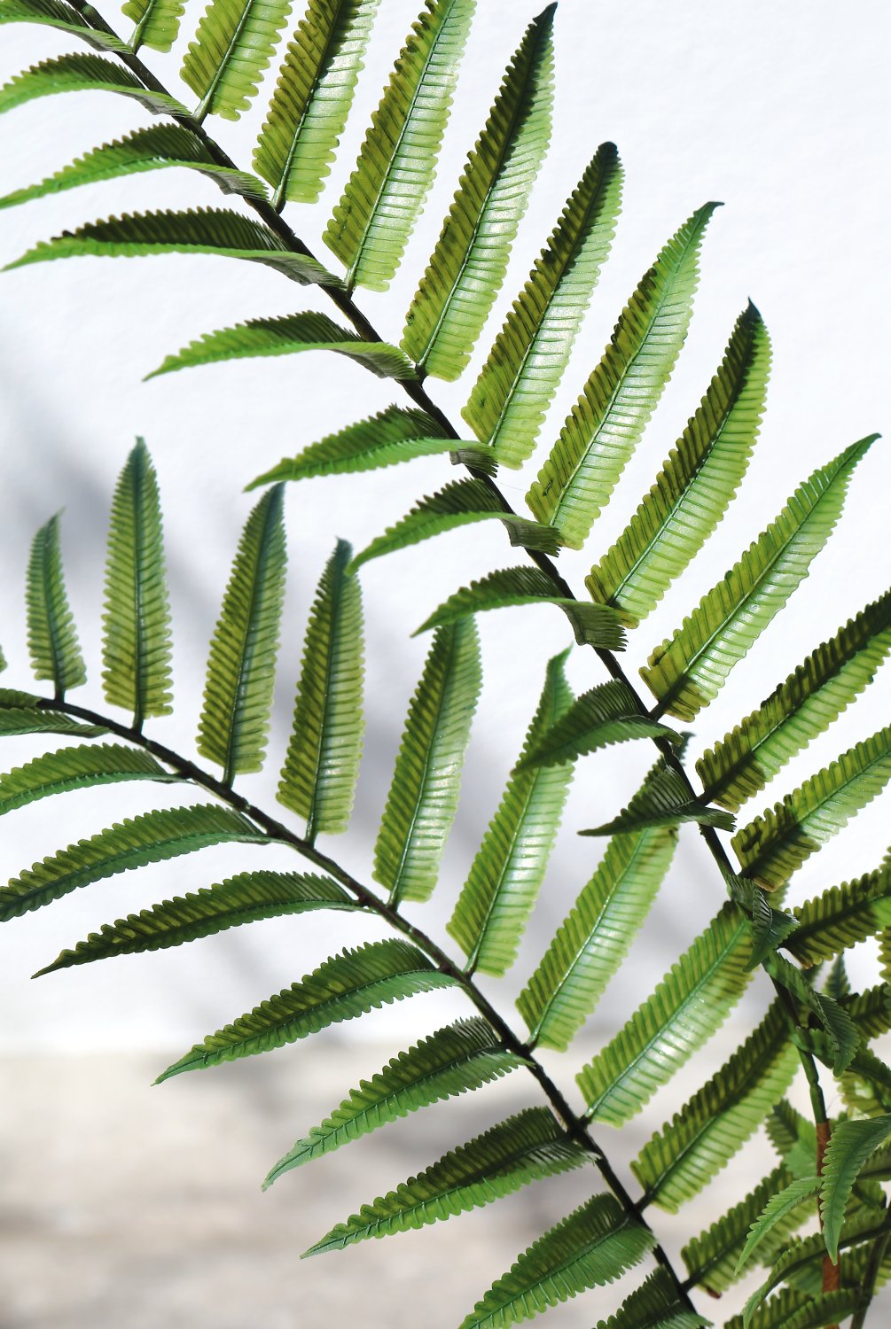 4916 883 a3 Стебель искусственного папоротника, 74 см, зеленый H-andreas 