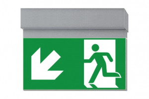 DST-3975 Ikus 2211-t Daisalux Светильники и спец. Серебристо-Серый