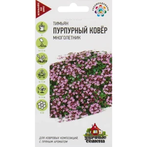 Семена Тимьян «Пурпурный ковёр» 0.05 г 82472701 STLM-2185671