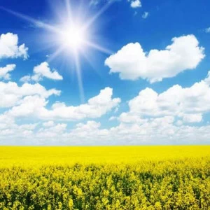 WP02208 Фотообои Verol Фотообои decoline 1х1 м