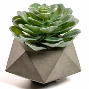 Цветок искусственный в горшке многоугольник Echeveria glauca от La Forma LA FORMA  342252 -