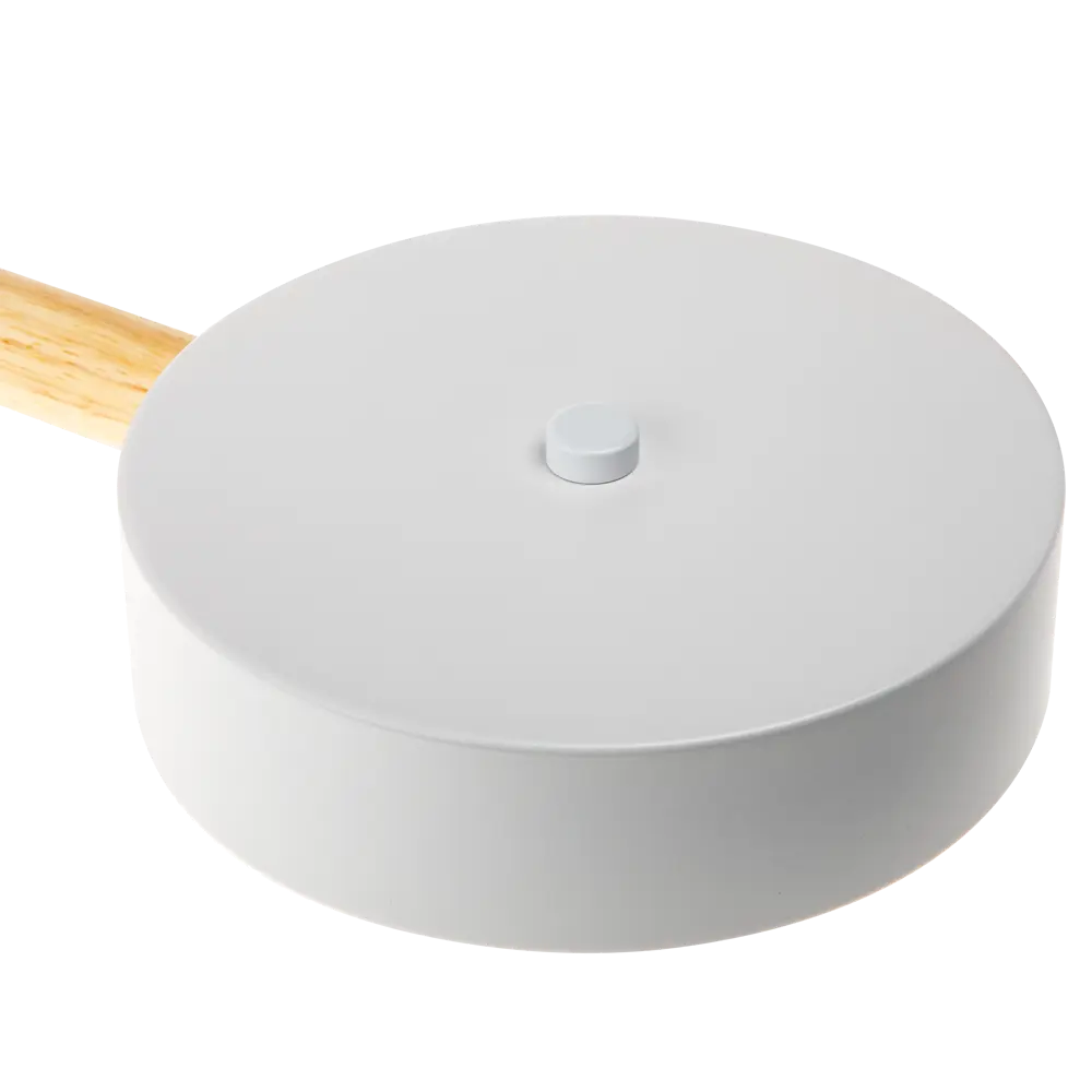 RITTER Люстра Scandia с пультом и регулируемым светом 88333058 STLM-1531893 - Вид №9