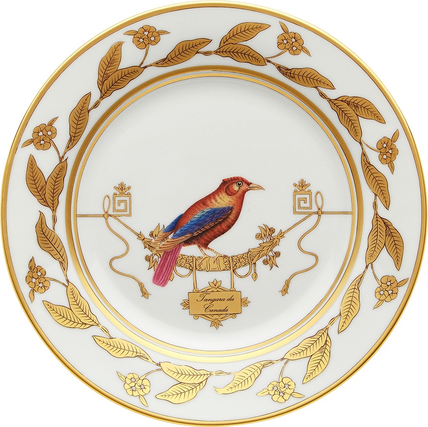 10647867 Richard Ginori Тарелка десертная 22 см Volie're Tangara du Canada Фарфор 