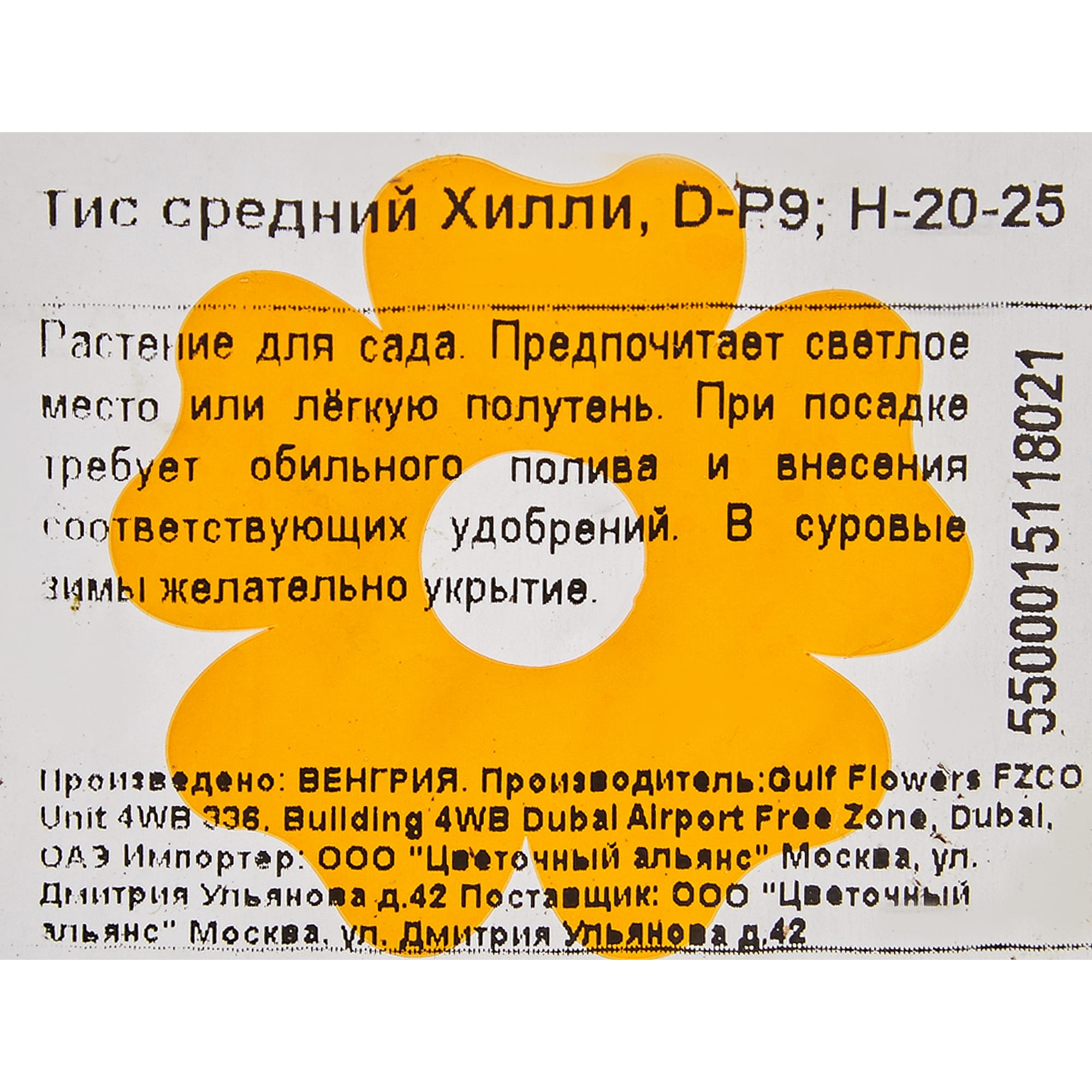 82601681 Тис средний «Хилли» 9x20 см Santreyd  - Вид №1