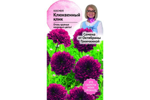 19489344 Семена Космея Клюквенный клик 0.1 г 119249 ОКТЯБРИНА ГАНИЧКИНА
