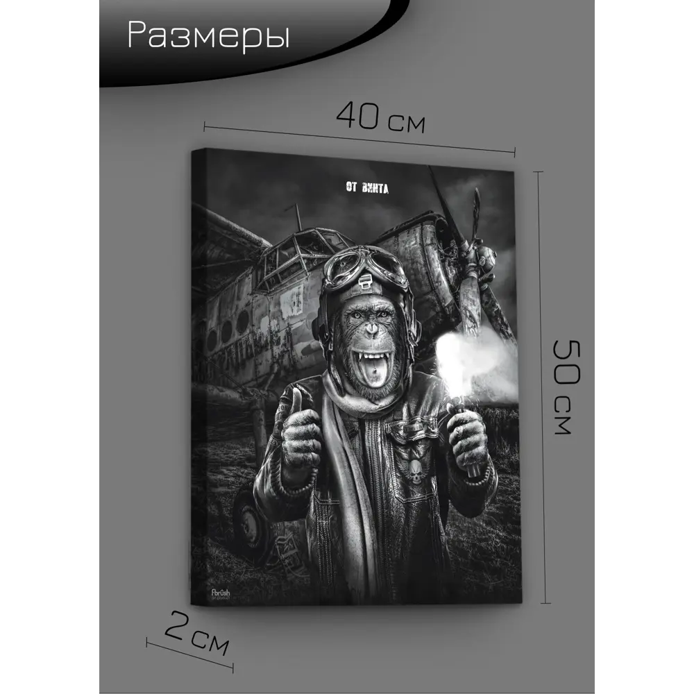 Картина на холсте Смелый пилот 40x50 см FBRUSH STLM-2185487 - Вид №8