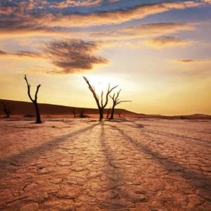 WP01981 Фотообои Verol Фотообои decoline 1х1 м