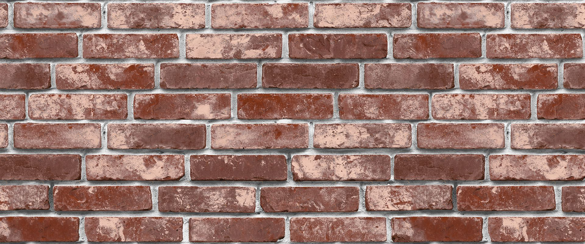 Victoria Stenova 888855 Мотив ROCK&WALL 888855 