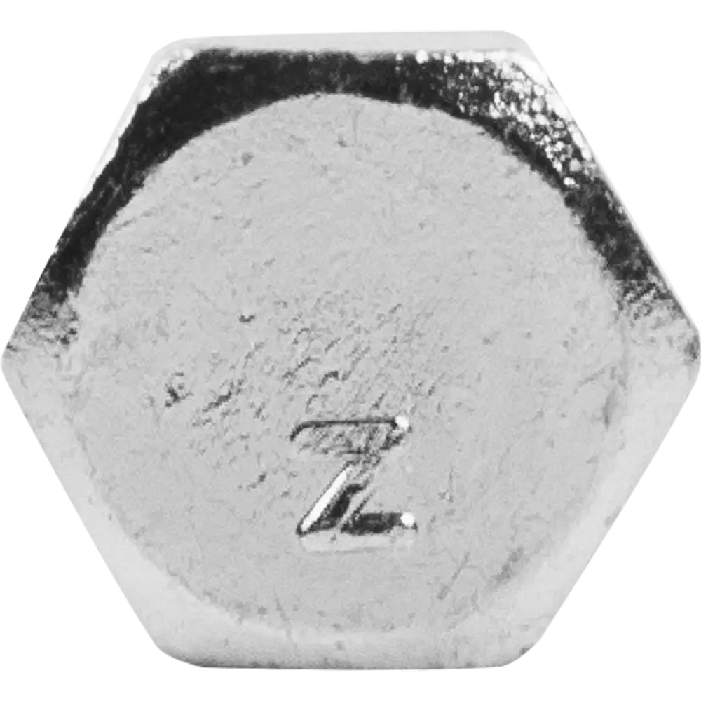 Шуруп c шестигранной головкой 6х100 мм 82620909 STLM-2141627 Santreyd  - Вид №1
