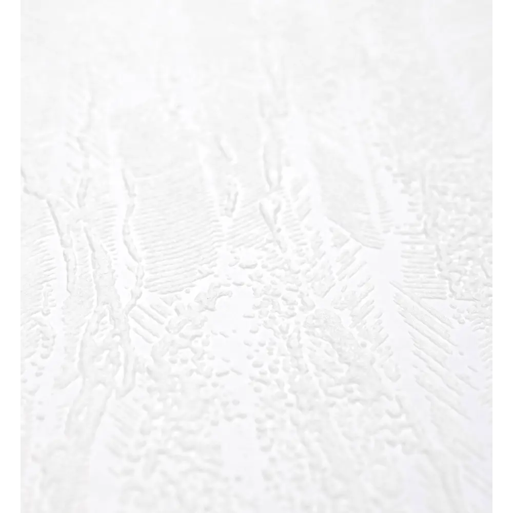 Обои под покраску флизелиновые Клен ASC Wallpaper 1.06 м 209311 плотность 98.11 г/кв.м Клён STLM-2107162 - Вид №1