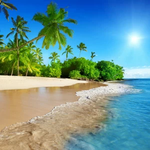 C1-002 Фотообои DIVINO Collection C 2.7х3 м