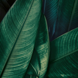 WP03078A Обои декоративные Adriani e Rossi