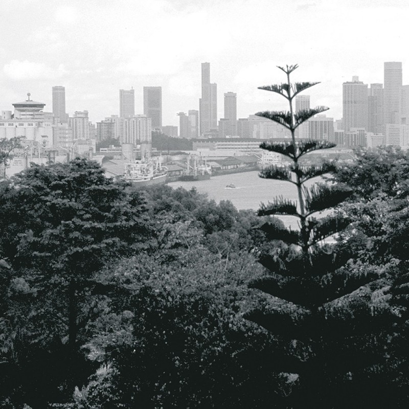 0117/CX38 Картина 0117 Adriani e Rossi  - Вид №4